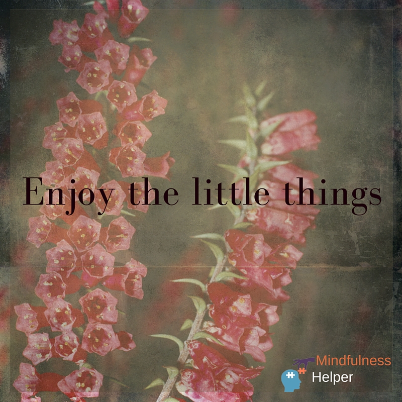 Enjoy the little things
