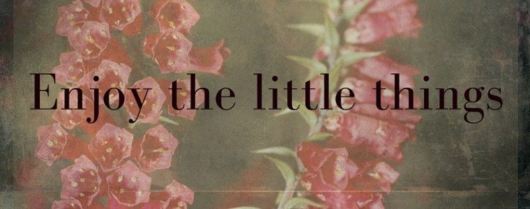 Enjoy the little things